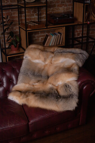 Golden Island Fox Fur Compact Blanket