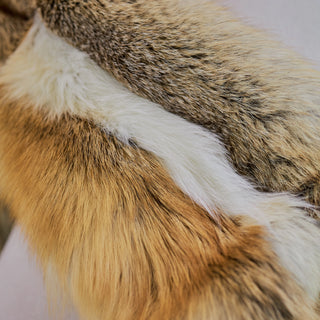 Island Fox Fur Coat with a Giant Collar