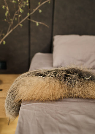 Genuine Raccoon Fur Lined Collar