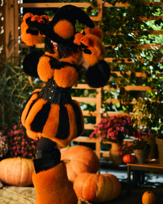 Pumpkin Fur Costume Set