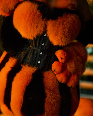 Orange Fur Paws with Black Pads & Claws