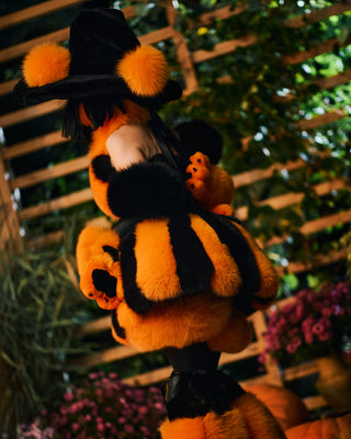 Pumpkin Fur Costume Set