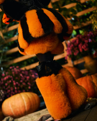 Pumpkin Fur Costume Set