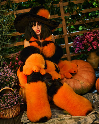 Orange Fur Paws with Black Pads & Claws