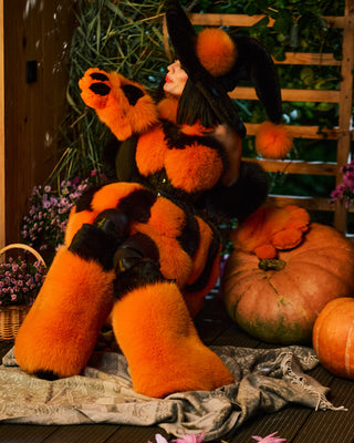 Orange Fur Paws with Black Pads & Claws